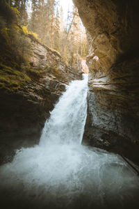 Scenic view of waterfall in forest