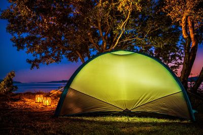 View of tent on field against trees