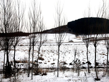 Scenic view of frozen lake against sky during winter