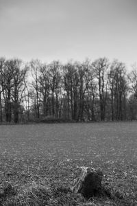 Bare trees on field against sky