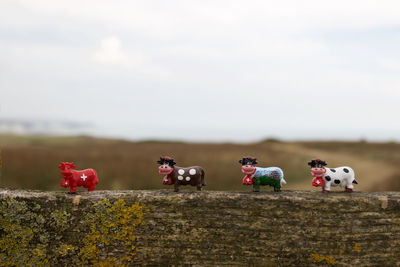 Close-up of toy cows with cross on wooden fence against sky