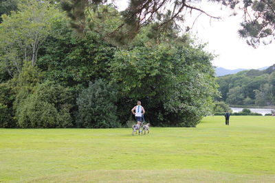 Rear view of man with dogs at park