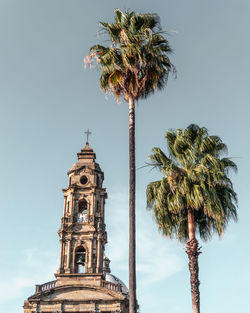 Low angle view of  palm tree and church against sky