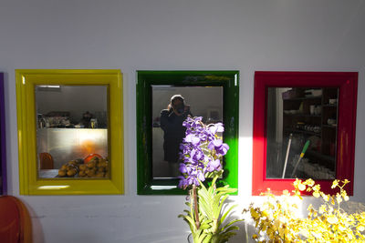 Potted plants on the wall