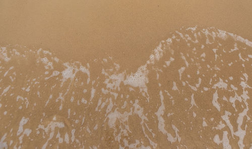 sand