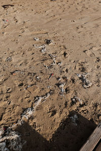 High angle view of wet sand