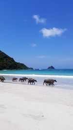 Scenic view of beach against sky