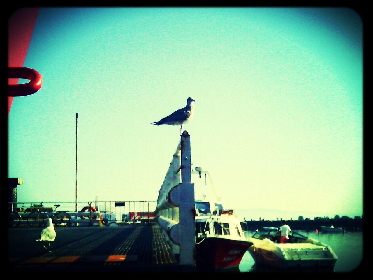 Ferry Boat Moveria (Aveiro - São Jacinto)