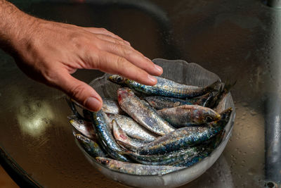 High angle view of person hand holding fish