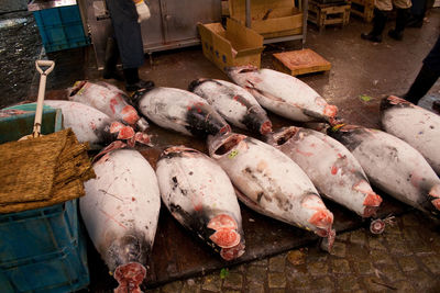 Tuna on the market