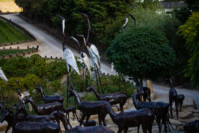 View of an animal sculpture