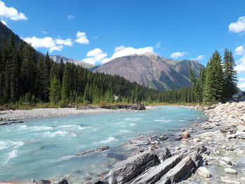 Kootenay river, british columbia, canada