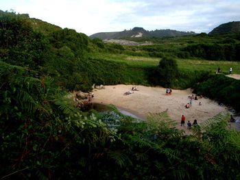 High angle view of people on landscape