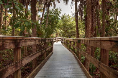Boardwalk that extends through manatee park in fort myers, florida.