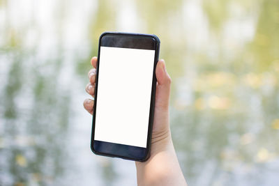 Cropped image of woman holding mobile phone