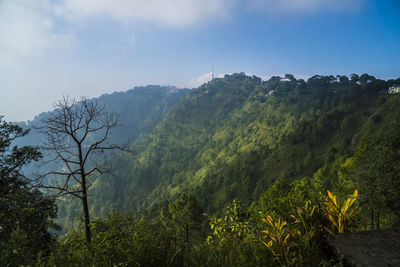 Scenic view of tree mountains against sky