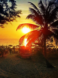 Silhouette palm trees at beach during sunset