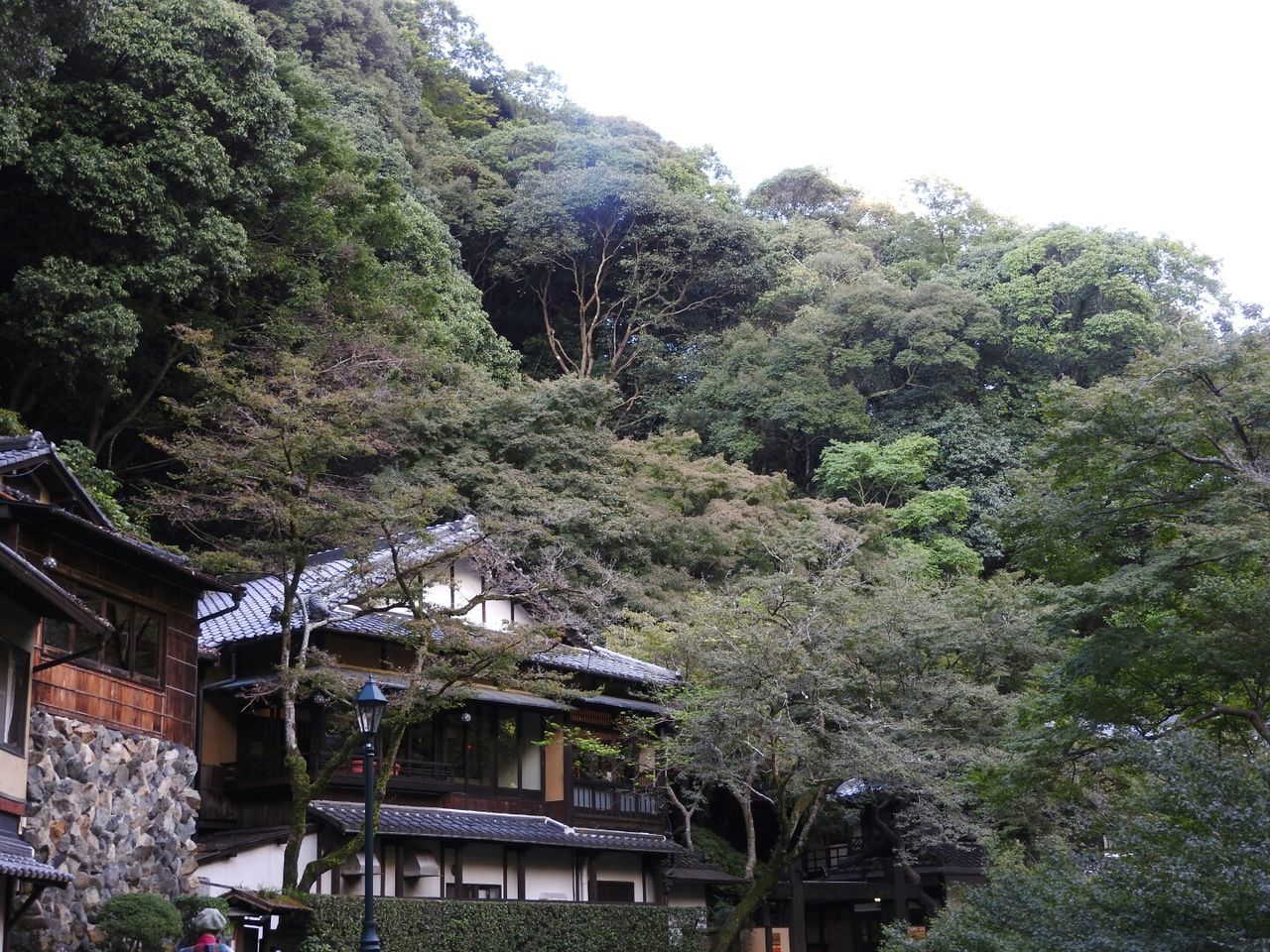 architecture, built structure, tree, building exterior, house, low angle view, clear sky, growth, day, green color, nature, sky, outdoors, no people, lush foliage, town, scenics, tranquility, beauty in nature, surrounding, tranquil scene