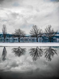 Snow covered plants by lake against sky