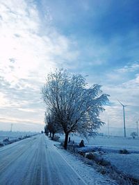 Road by tree against sky