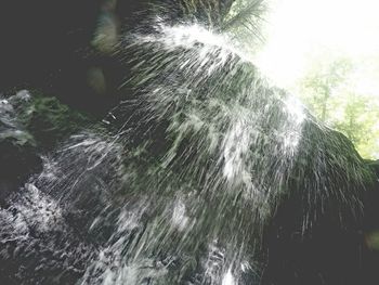 Low angle view of water spraying against sky