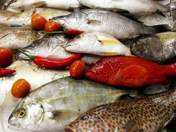 Close-up of fish for sale in market