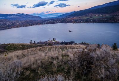 High angle view of bird flying over lake during sunset