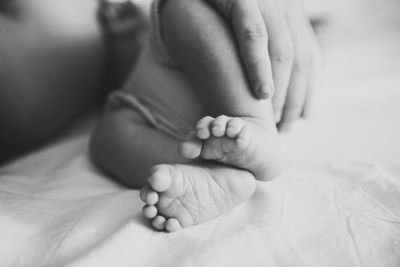 Close-up of baby holding baby