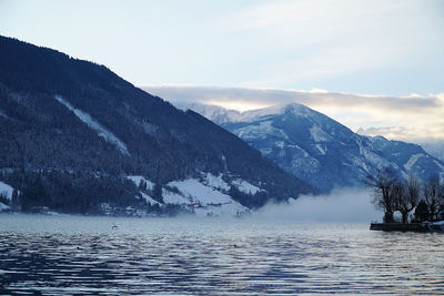 scenics - nature