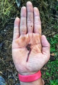 Close-up of man hand on field