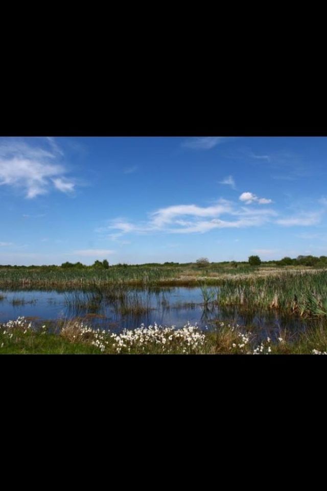 water, sky, tranquility, tranquil scene, scenics, lake, beauty in nature, nature, reflection, landscape, cloud - sky, tree, cloud, calm, idyllic, plant, river, silhouette, field, auto post production filter