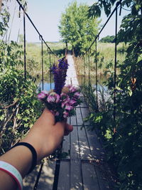 Cropped image of woman holding plant