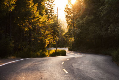 Empty road amidst trees