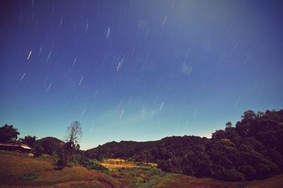 Trees on landscape at night