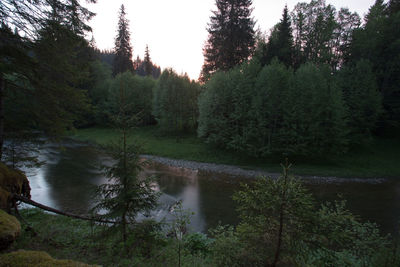 Scenic view of river in forest against sky
