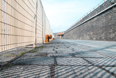 Surface level of footpath amidst buildings against sky