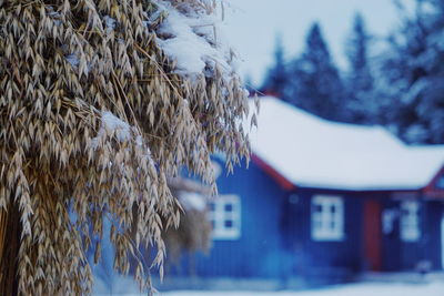 Close-up of frozen house against sky during winter