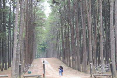 Rear view of man on road amidst trees in forest