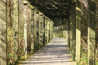 Narrow pathway along pillars