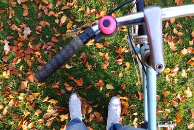 Low section of person standing by plants and near a bike  during autumn
