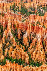 Bryce canyon in utah, usa