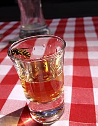 Close-up of beer in glass