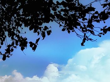 Low angle view of silhouette tree against sky