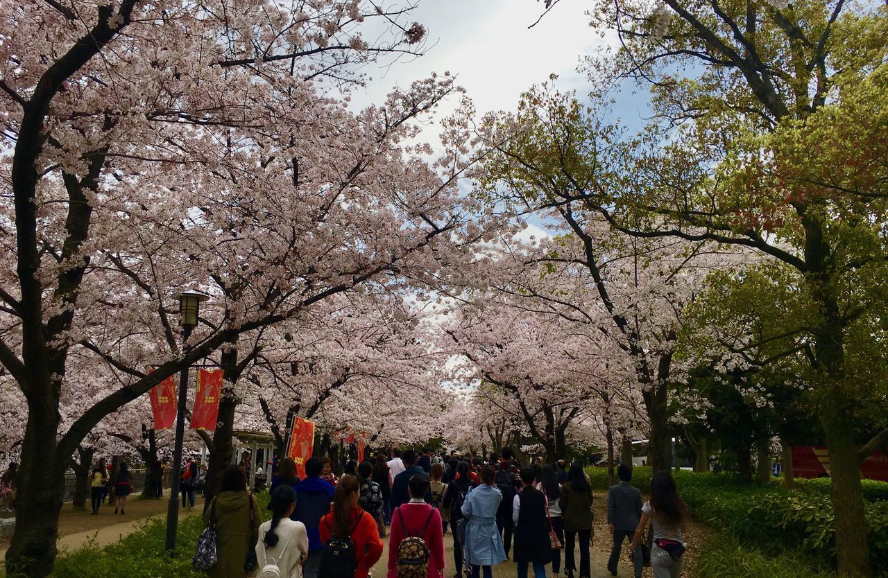 GROUP OF PEOPLE IN THE PARK