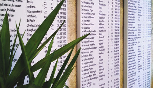 Text on boards at cemetery