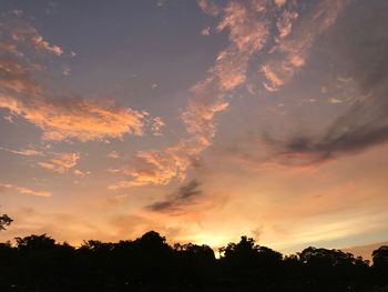 Silhouette trees against dramatic sky