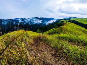 Scenic view of field against sky