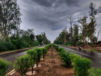 Road amidst trees against sky