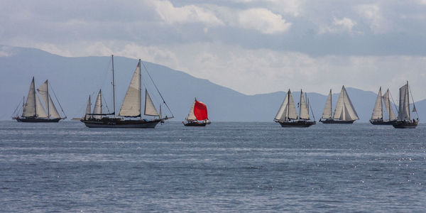 Bodrum yacht races. 