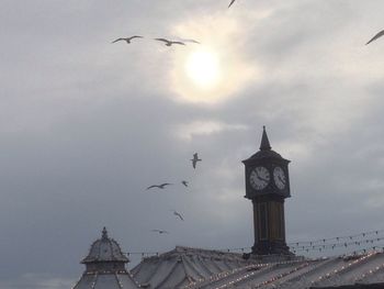 Low angle view of seagull flying against sky